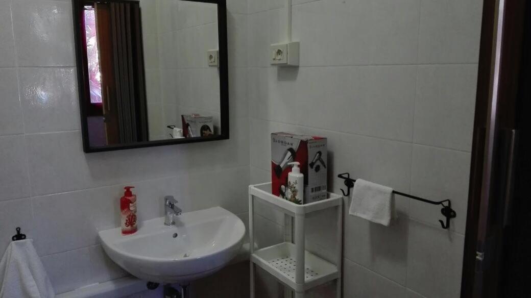La Casa Di Filippo Hotel Pisa Bagian luar foto
